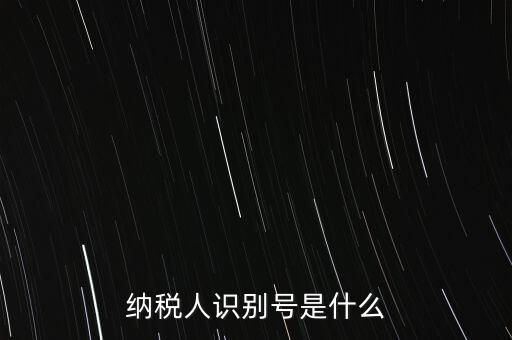 電子稅務(wù)局納稅人識別號是什么，納稅人識別號是什么