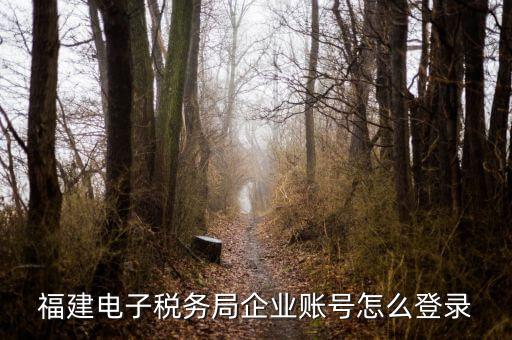 福建省地稅登入名是什么，地稅網(wǎng)上報稅平臺報稅賬號是什么