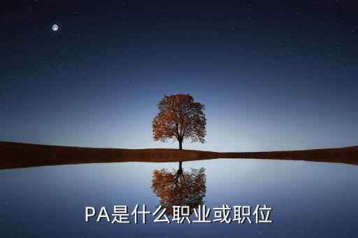 河南省國(guó)稅局陳紅偉什么職務(wù)，PA是什么職業(yè)或職位