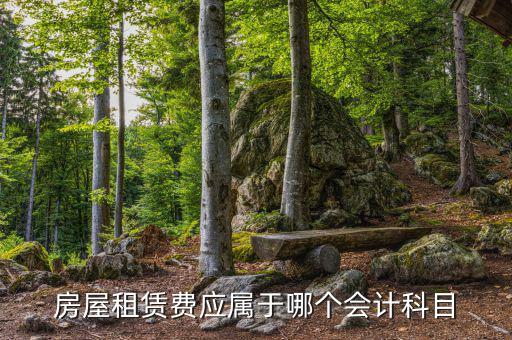 租房費(fèi)用計(jì)入什么科目，房屋租賃費(fèi)應(yīng)屬于哪個(gè)會(huì)計(jì)科目