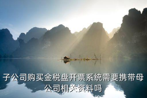 購買稅控盤需要帶什么資料，增值稅小規(guī)模納稅人購買稅控盤在附列資料中需要填寫嗎