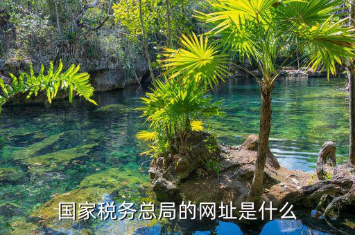 什么網(wǎng)址可以打開國家稅務網(wǎng)站，國家稅務總局的網(wǎng)址是什么