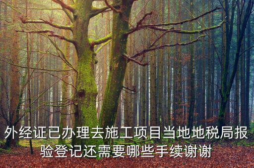 外管證報驗都需要什么，辦了外管證咋申報