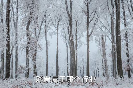 什么是彩票發(fā)行收入，福利彩票的發(fā)行收入是否征收營業(yè)稅