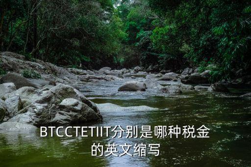 bt 是什么稅，BTCCTETIIT分別是哪種稅金的英文縮寫(xiě)