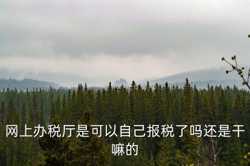 云廳報(bào)稅是什么意思，網(wǎng)上辦稅廳是可以自己報(bào)稅了嗎還是干嘛的