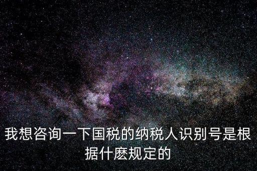 臨時(shí)納稅人代碼是什么，我想咨詢一下國稅的納稅人識別號是根據(jù)什麼規(guī)定的