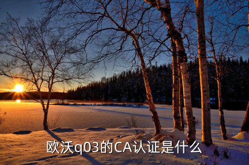 ca認(rèn)證密碼是什么情況，歐沃q03的CA認(rèn)證是什么