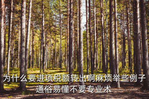 為什么要進項稅額轉出，為什么要進項稅額轉出啊麻煩舉些例子通俗易懂不要專業(yè)術