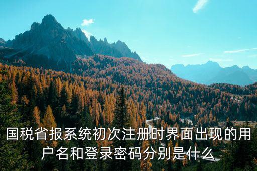 河南省國(guó)稅申報(bào)系統(tǒng)帳號(hào)是什么，請(qǐng)問(wèn)國(guó)稅申報(bào)用戶號(hào)是什么密碼又是什么