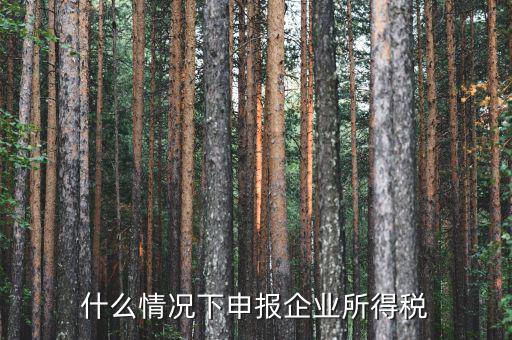 什么情況企業(yè)所得稅，什么是企業(yè)所得稅