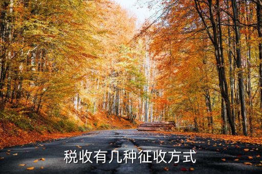 稅務(wù)征非稅采取什么方式，稅務(wù)征收有哪幾種