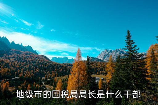 市國稅局局長什么級(jí)別，地級(jí)市的國稅局局長是什么干部