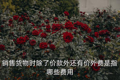 什么叫價外費用，屬于價外費用的是什么