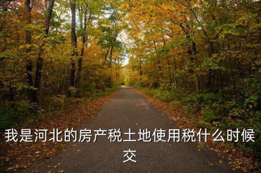 河北地稅申報(bào)后什么時(shí)候繳費(fèi)，我是河北的房產(chǎn)稅土地使用稅什么時(shí)候交