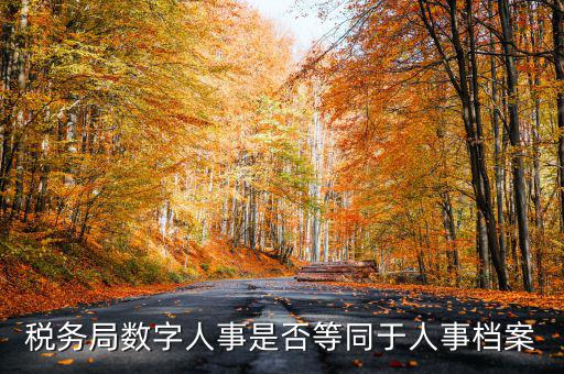 數(shù)字人事國稅是什么，數(shù)字人事第一段怎么劃分