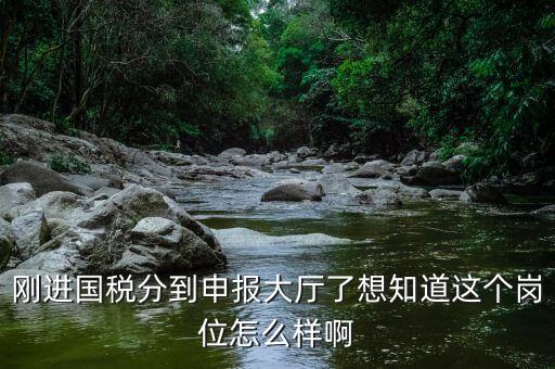 國稅局新進(jìn)人員一般分到什么崗位，國稅局 工作人員需要哪些專業(yè)職稱