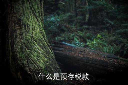 預(yù)繳稅款是什么意思，企業(yè)所得稅年度申報(bào)系統(tǒng)初始數(shù)據(jù)的預(yù)繳稅額是什么意思