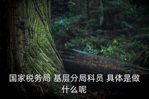 國(guó)地稅征管改革黨員干部干什么，國(guó)家稅務(wù)局 基層分局科員 具體是做什么呢