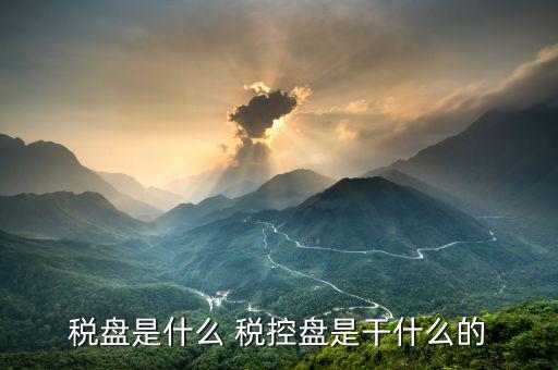 億企贏稅盤是什么，稅盤是什么 稅控盤是干什么的