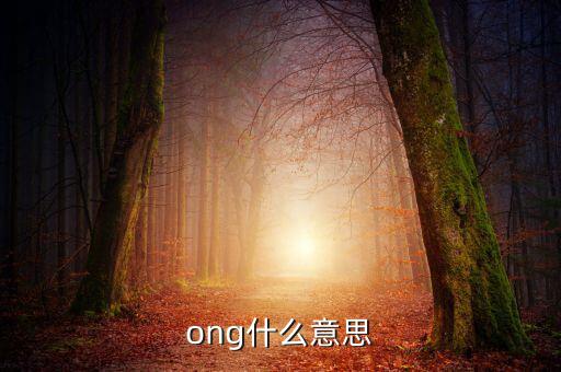 發(fā)票ong什么意思，ong什么意思