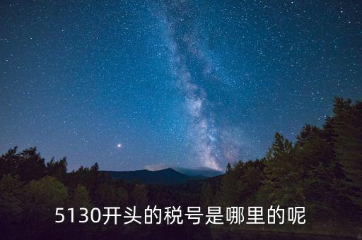 四川一般納稅人稅號(hào)以什么開(kāi)頭，5130開(kāi)頭的稅號(hào)是哪里的呢