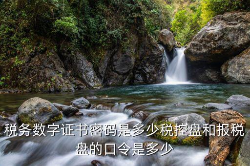 國稅開票軟件的稅務(wù)證書密碼是什么，稅務(wù)數(shù)字證書密碼是多少稅控盤和報稅盤的口令是多少