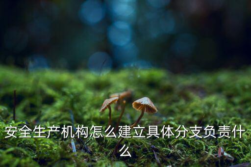 什么是三級分支機構(gòu)，英語三級發(fā)證機構(gòu)是什么