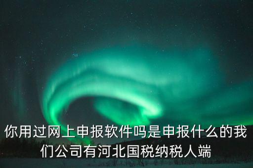 企業(yè)申報客戶端是什么，你用過網(wǎng)上申報軟件嗎是申報什么的我們公司有河北國稅納稅人端