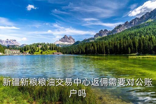 新疆地稅用戶名是什么，全國會計繼續(xù)教育網(wǎng)注冊用戶名怎樣填