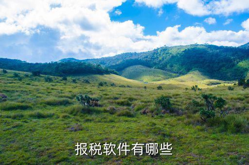 四川報(bào)稅軟件叫什么名字，網(wǎng)上報(bào)稅的那個(gè)軟件叫什么呀