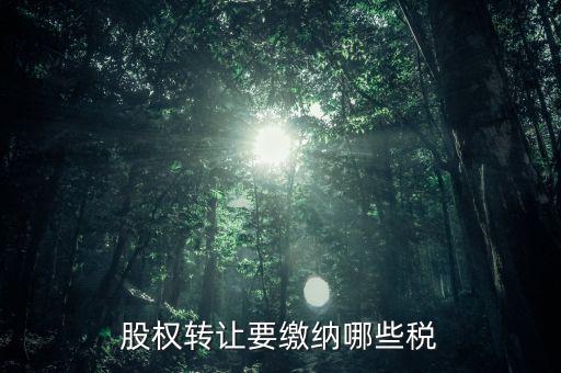公司轉(zhuǎn)讓股權(quán)交什么稅，股權(quán)轉(zhuǎn)讓要繳納哪些稅
