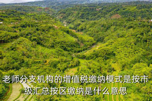 什么叫匯總繳納增值稅，老師分支機構(gòu)的增值稅繳納模式是按市級匯總按區(qū)繳納是什么意思