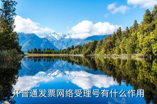 開普通發(fā)票網絡受理號有什么作用
