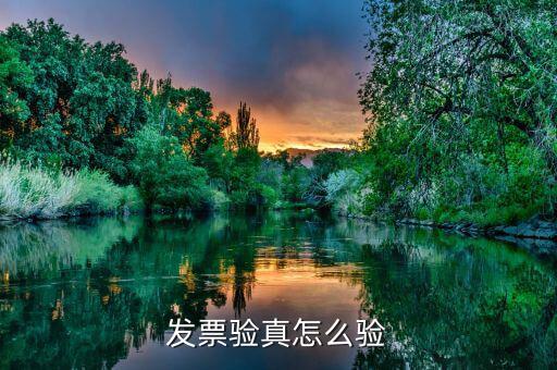 稅務(wù)所驗(yàn)證發(fā)票是驗(yàn)什么，發(fā)票驗(yàn)真怎么驗(yàn)