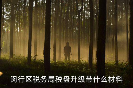 去升級稅控盤要帶什么，去國稅稅控盤升級需要帶哪些材料