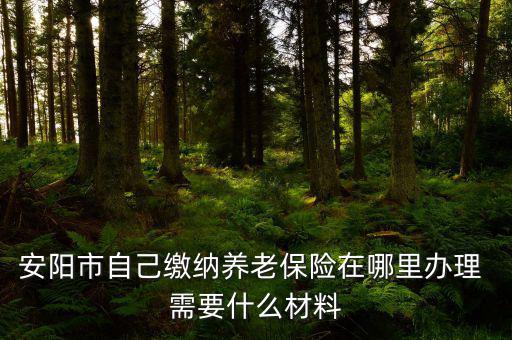 安陽地稅局交個(gè)人保險(xiǎn)在什么地方，安陽市醫(yī)保交費(fèi)在哪里地稅局