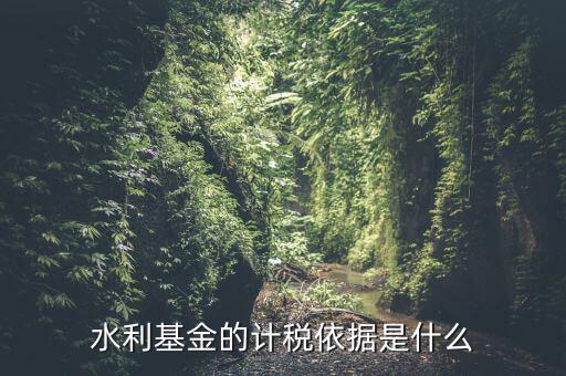 水利基金的繳納按照什么依據(jù)，水利基金的計(jì)稅依據(jù)及稅率