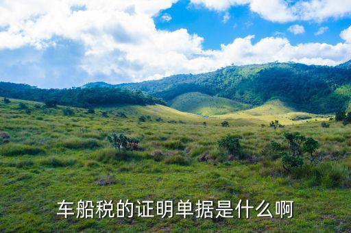 繳納完車(chē)船稅后有什么憑證，車(chē)船使用稅憑證是什么樣子