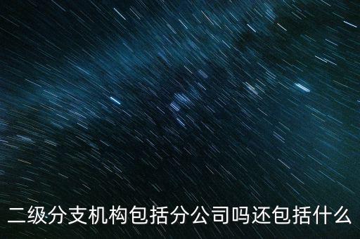 什么是二級(jí)分支機(jī)構(gòu)，現(xiàn)在分公司要辦稅務(wù)登記證但是我想問(wèn)一下二級(jí)分機(jī)構(gòu)指的是