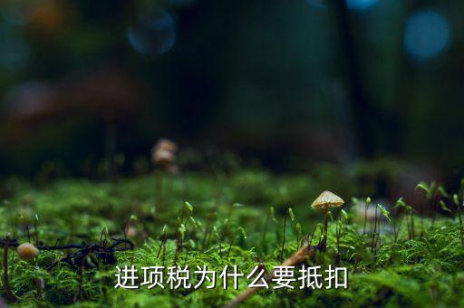 購入貨物增值稅為什么可抵扣，增值稅為什麼可以抵扣為