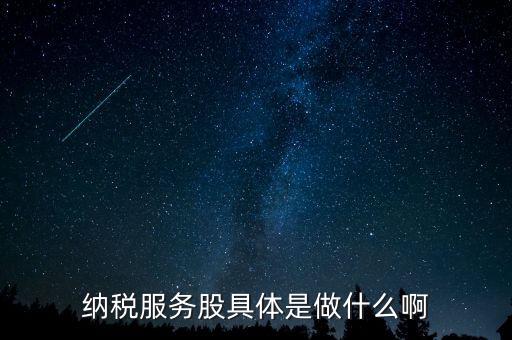 納稅服務(wù)股是什么意思，納稅服務(wù)股具體是做什么啊