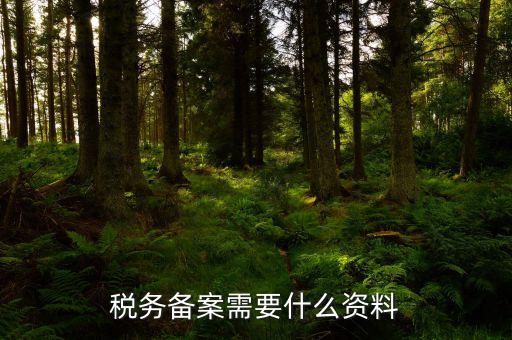 消費稅免稅備案需要帶什么資料，理跨境服務(wù)免稅備案手續(xù)時需要提交哪些資料