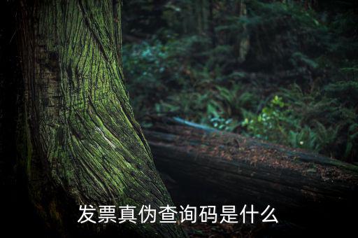 網(wǎng)絡(luò)發(fā)票查詢號是什么，發(fā)票真?zhèn)尾樵兇a是什么