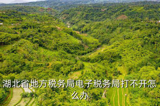 湖北電子地稅是什么，湖北省地方稅務(wù)局電子稅務(wù)局打不開怎么辦