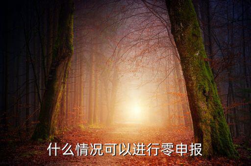 什么情況下可以一鍵零申報，什么情況可以進行零申報