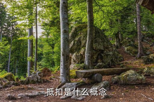 什么叫成本抵扣，一般納稅人進(jìn)項(xiàng)稅入成本和抵扣有什么區(qū)別