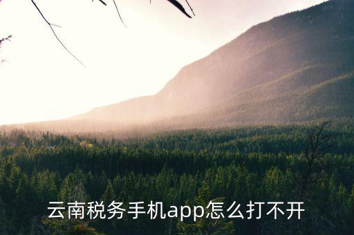 云南省網(wǎng)上稅務(wù)局為什么進(jìn)不去，請(qǐng)問(wèn)電子稅務(wù)局登不上去怎么回事