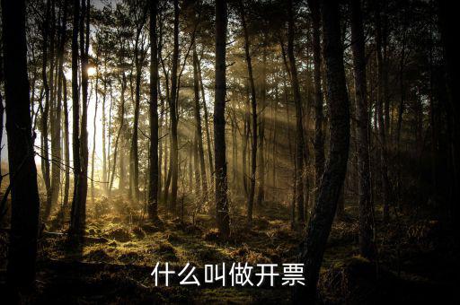 什么叫開票，開票是什么意思