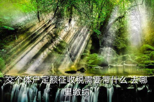 個體戶定額需要準備什么，交個體戶定額征收稅需要帶什么 去哪里繳納